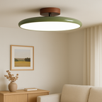 Adjustable LED Ceiling Spotlight, Integrated, Modern Kitchen Light, Green Beige